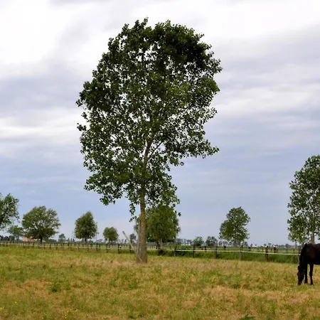 بيت للعطل Casa Miniscalchi *