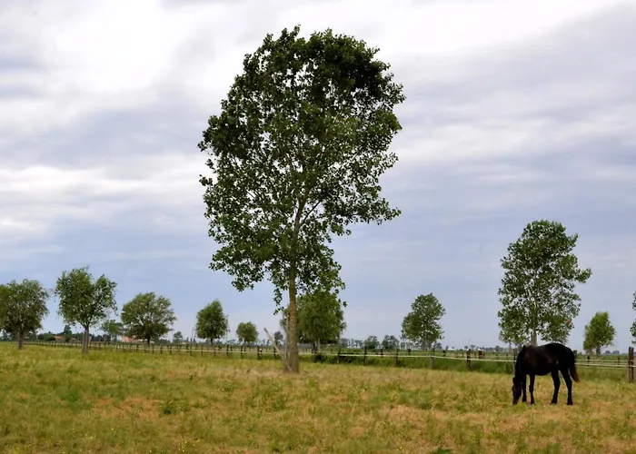 بيت للعطل Casa Miniscalchi *